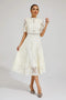 Women Guipure Lace High-Neck A-Line Midi Dress